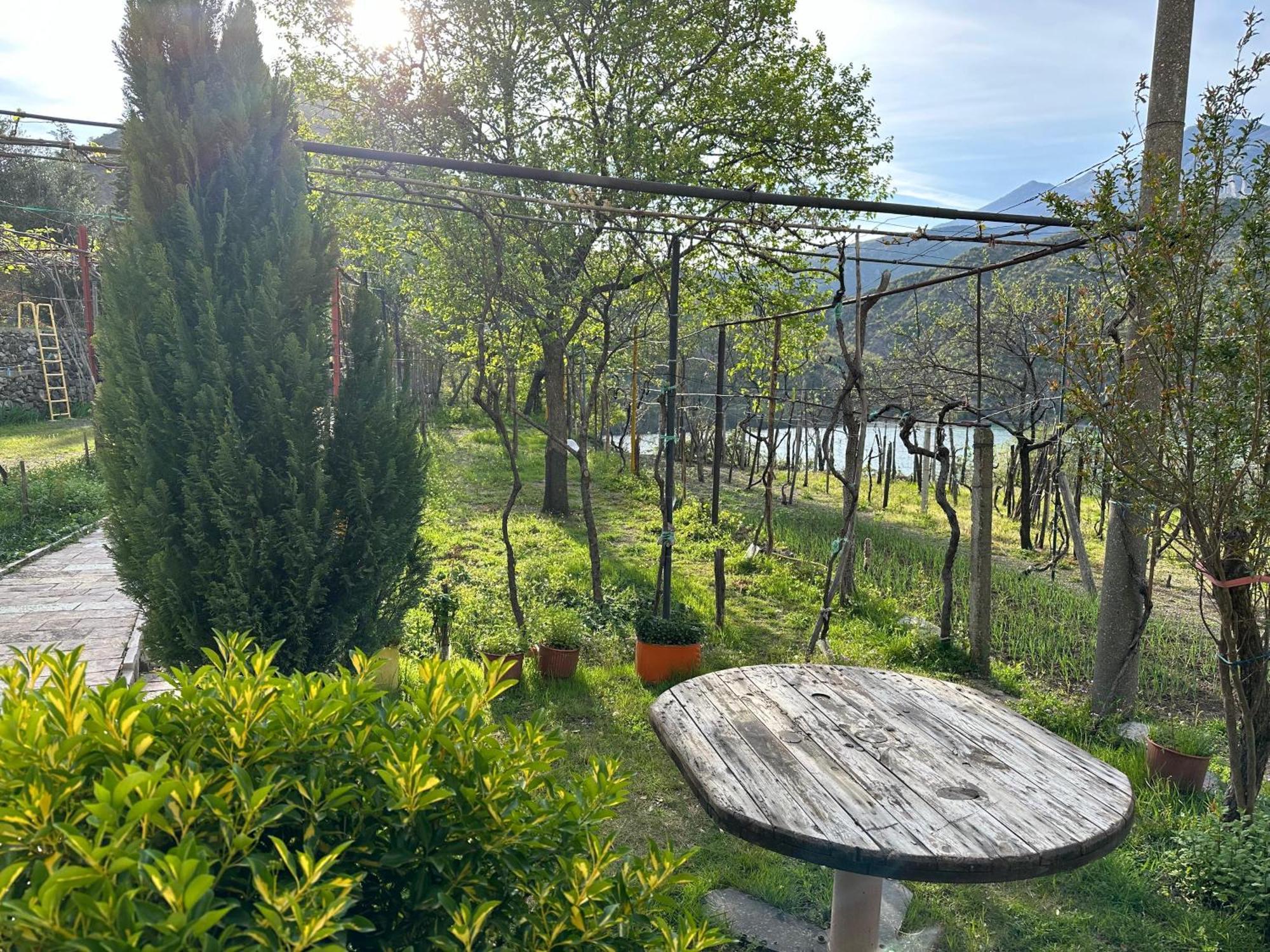 Lakeview Escape Koman 外观 照片