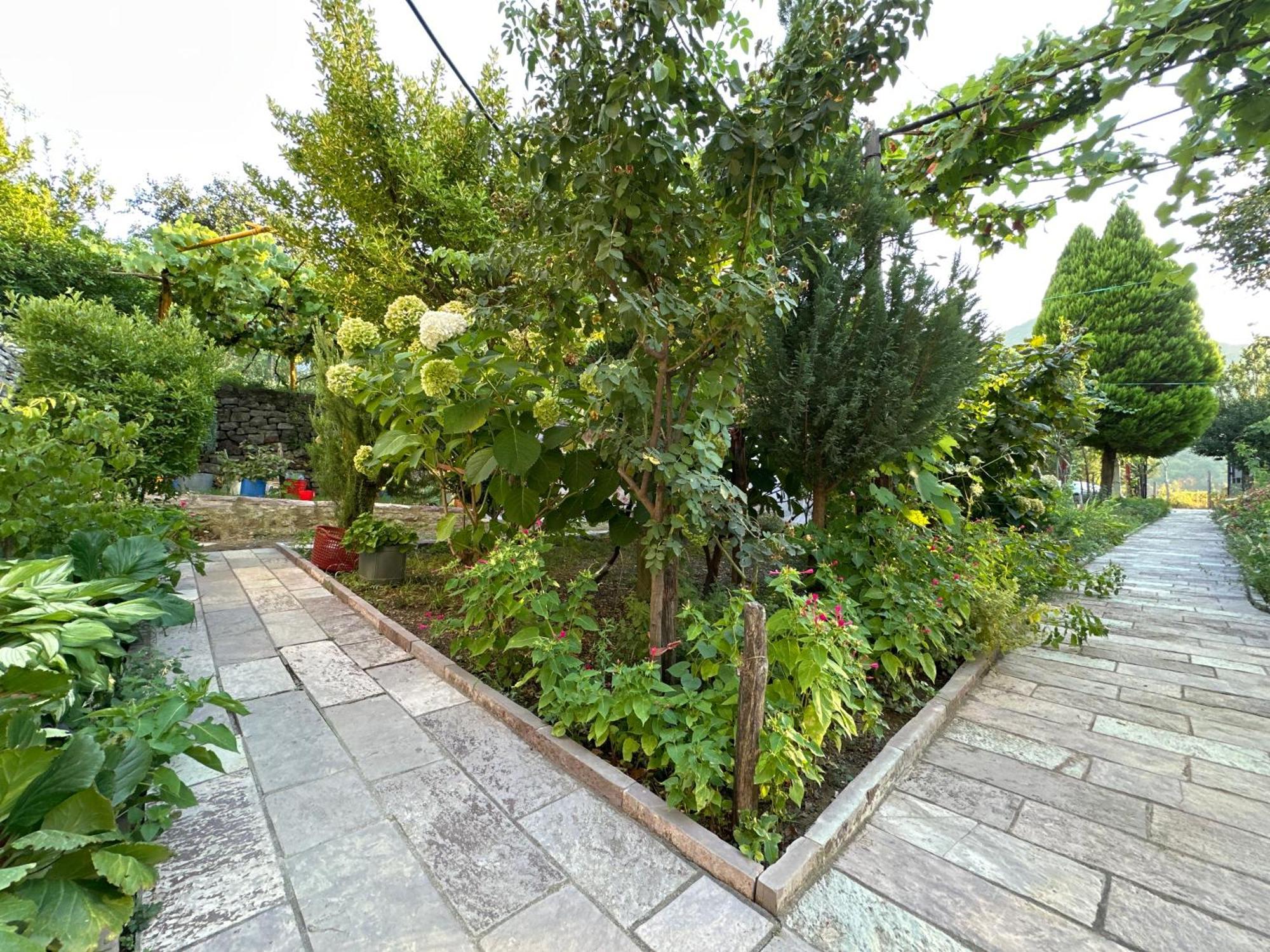 Lakeview Escape Koman 外观 照片
